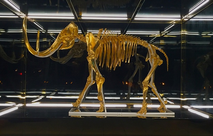 Socha Mamuta Damien Hirst