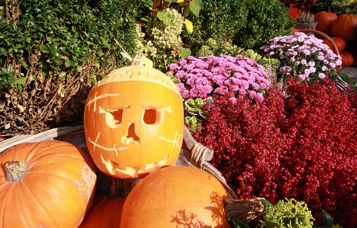 Halloween decoration in Metamorphosis