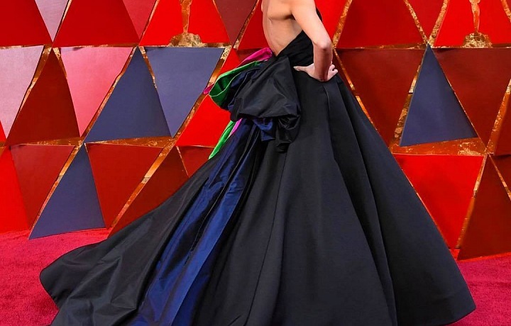 Kelly Ripa, Oscars, dress v Ch. Sirian