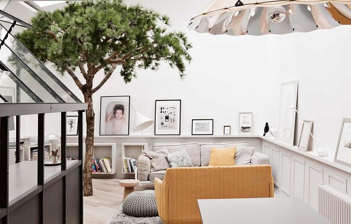 Trees in interiors