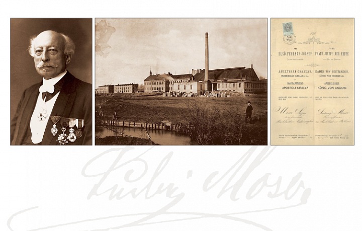 Moser factory, Ludwig Moser