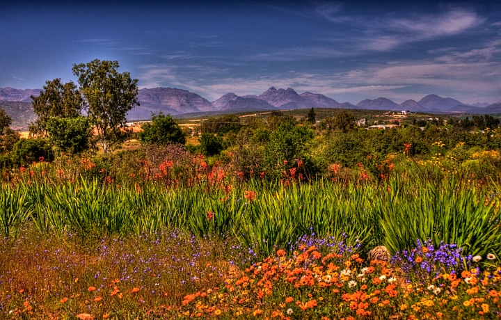 Namaqualand - beauty everywhere