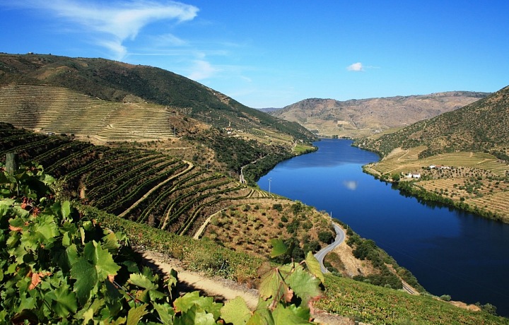 Pozemky a vinice Duoro