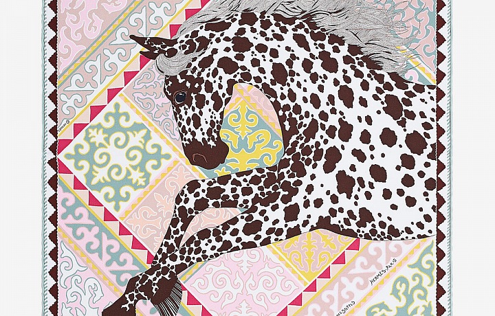 Luxury scarf Hermès