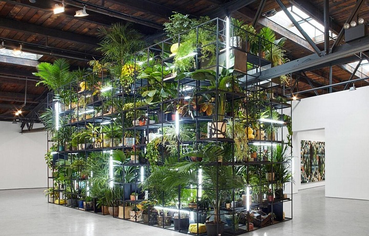 Rashid Johnson Art Basel