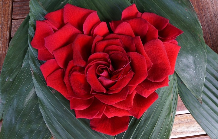 Mezinárodní den žen a květiny patří dohromady. 