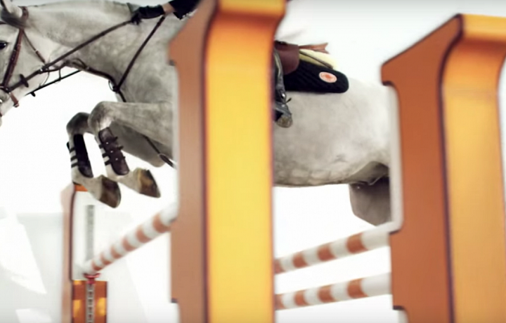 Luxurious saddles Hermès