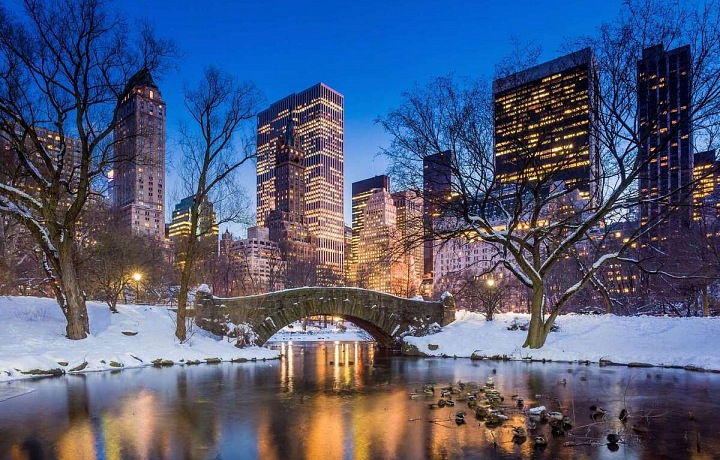 Christmas at Central Park