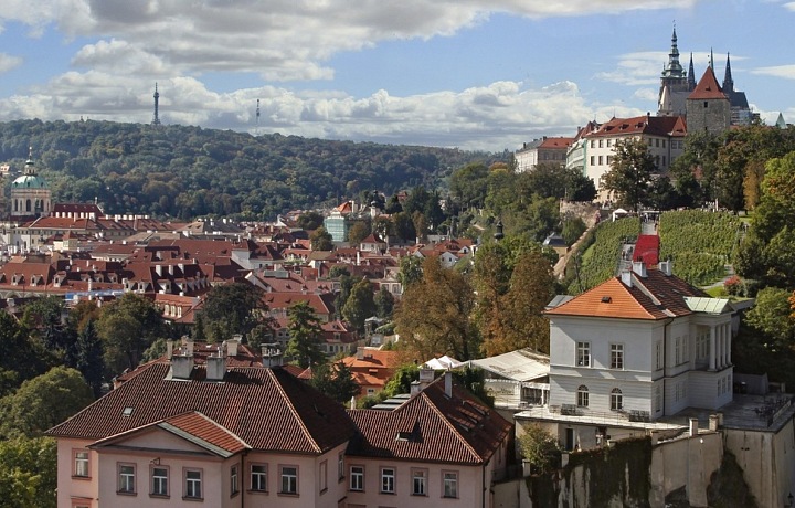 Luxurious St. Wenceslas vineyard