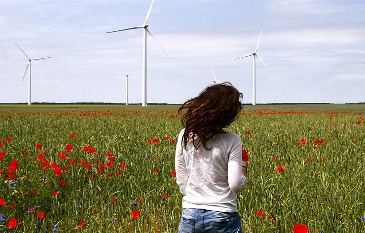 Wind energy protects the environment